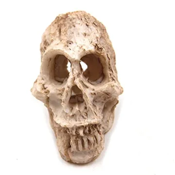 Shop Driak Decorative Skull Ornaments for Aquariums