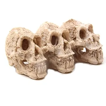 Shop Driak Decorative Skull Ornaments for Aquariums