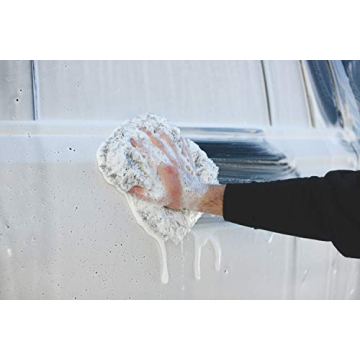 P & S PROFESSIONAL DETAIL PRODUCTS Pearl Auto Shampoo - High Foaming, Easy on Your Auto and Your Hands, Lemon Scent (1 Gallon)