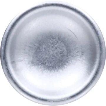 Alba Botanica Kids Sunscreen Spray SPF 50 - Tropical Fruit 5oz