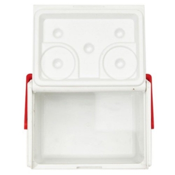 Coleman FlipLid 5-Quart Cooler for Every Outdoor Adventure