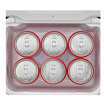 Coleman FlipLid 5-Quart Cooler for Every Outdoor Adventure