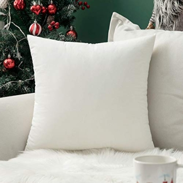MIULEE Velvet Soft Solid Decorative Square Throw Pillow Cover Case for Sofa Bedroom 24 x 24 Inch
