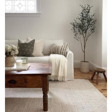 Stylish Handwoven Jute Cotton Area Rug for All Spaces