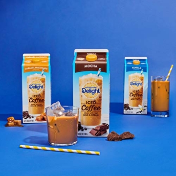 Enjoy International Delight Caramel Macchiato Iced Coffee