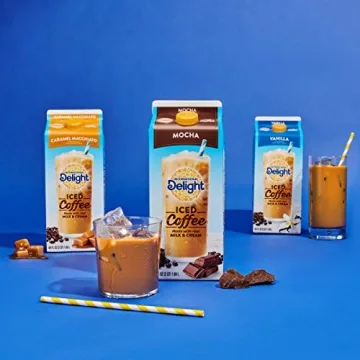 Enjoy International Delight Caramel Macchiato Iced Coffee