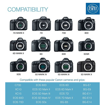 LP-E6N Battery 2-Pack with Dual Charger for Canon