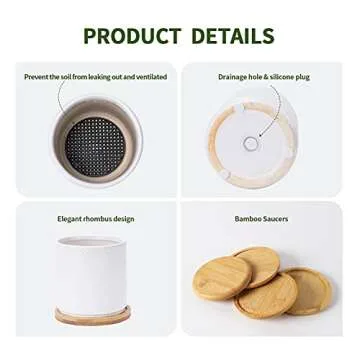 Stylish AOMRYOM Ceramic Plant Pots Set for Succulents