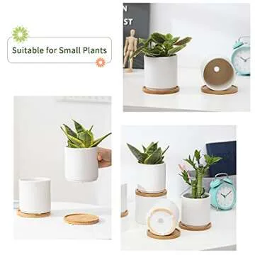 Stylish AOMRYOM Ceramic Plant Pots Set for Succulents