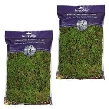 SuperMoss (25322 Forest Moss Preserved, Fresh Green, 8oz (2 Pack)