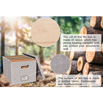 Oterri Stylish File Organizer Box for Home and Office