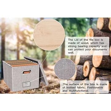 Oterri Stylish File Organizer Box for Home and Office