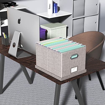 Oterri Stylish File Organizer Box for Home and Office