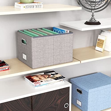 Oterri Stylish File Organizer Box for Home and Office