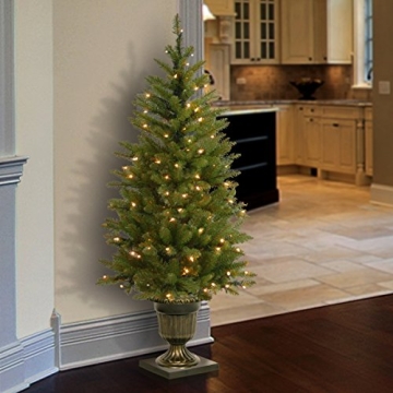 Pre-Lit Dunhill Fir Christmas Tree with Decorative Base
