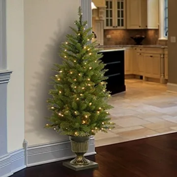 Pre-Lit Dunhill Fir Christmas Tree with Decorative Base