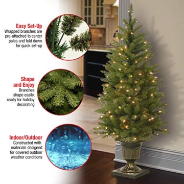 Pre-Lit Dunhill Fir Christmas Tree with Decorative Base