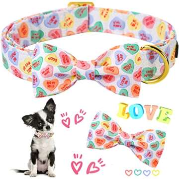 Valentine's Day Dog Collar with Bowtie for All Dogs