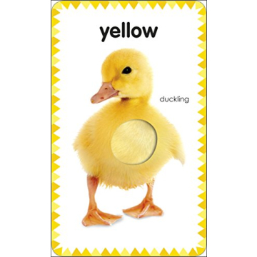 My First Touch and Feel Picture Cards: Bright Learning Fun