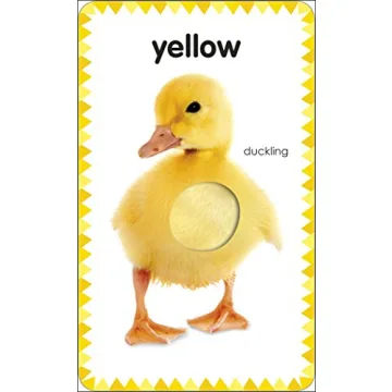 My First Touch and Feel Picture Cards: Bright Learning Fun