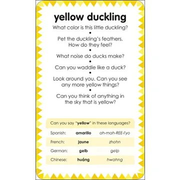 My First Touch and Feel Picture Cards: Bright Learning Fun