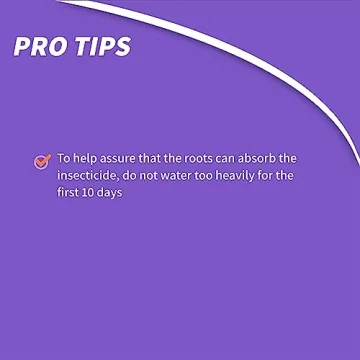 Bonide Systemic Insect Control Granules for Healthy Plants