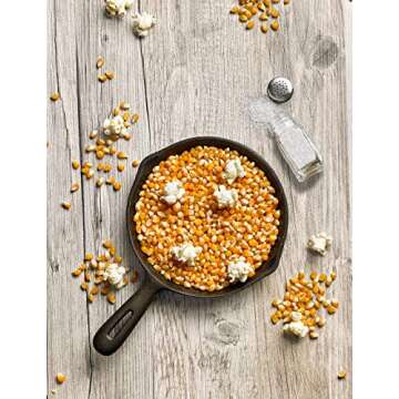 Delicious Colorado Jack Gourmet Popcorn Variety Pack - 5 Flavors!