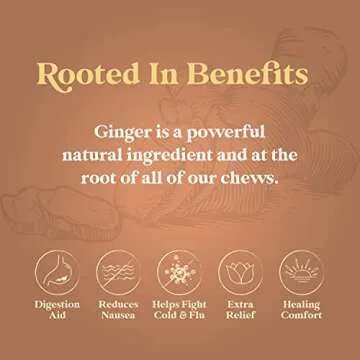 Chimes Mango Ginger Chews, 1lb Bag