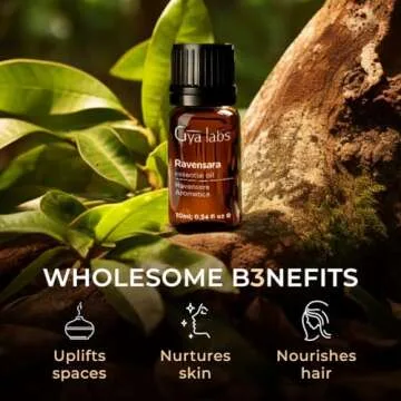 Gya Labs Ravensara Essential Oil for Diffuser - 0.34 Fl Oz - 100% Pure Natural Ravensara Oil for Skin, Hair, Aromatherapy & Candles Making - Sweet Spicy & Purifying Scent