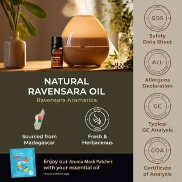 Gya Labs Ravensara Essential Oil for Diffuser - 0.34 Fl Oz - 100% Pure Natural Ravensara Oil for Skin, Hair, Aromatherapy & Candles Making - Sweet Spicy & Purifying Scent