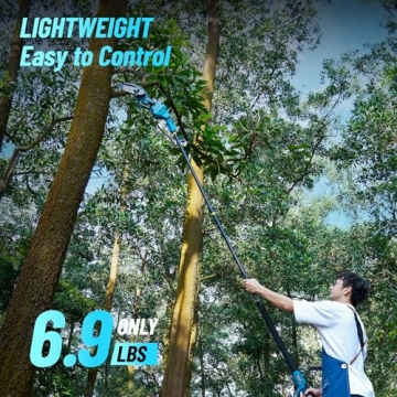 Seesii PS610 2-IN-1 Cordless Pole Saw Mini Chainsaw 2024