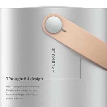 Molekule Air Large Room Air Purifier with PECO Technology for Smoke, Allergens, Pollutants, Viruses, Bacteria, and Mold, Silver