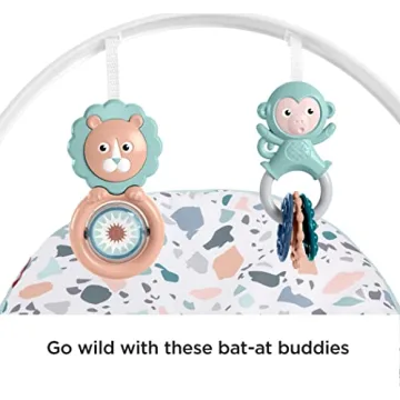 Fisher-Price Infant-to-Toddler Rocker - Safe & Portable