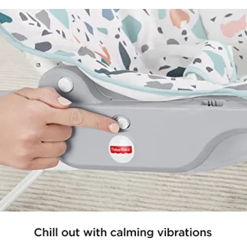 Fisher-Price Infant-to-Toddler Rocker - Safe & Portable