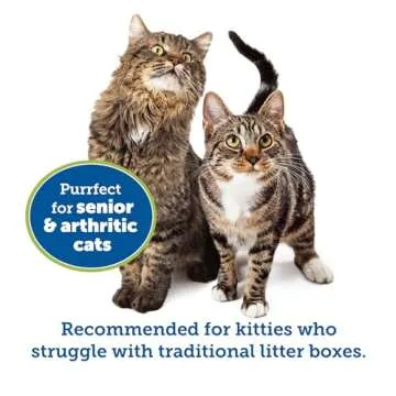 KittyGoHere Senior Cat Litter Box - Durable & Pet Safe