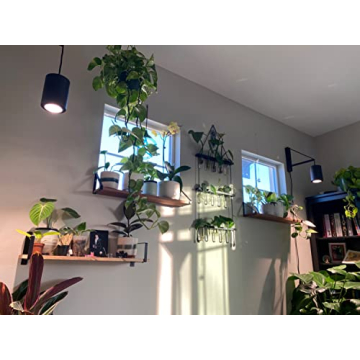 Aspect Decor Grow Light – Luxurious LED for Indoor Plants