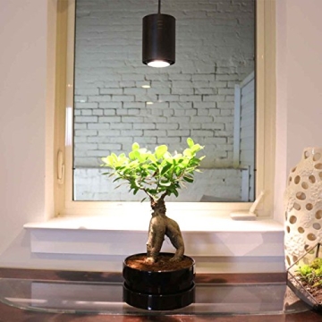 Aspect Decor Grow Light – Luxurious LED for Indoor Plants