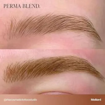 Professional Vegan Microblading Pigment Set - 3 Shades