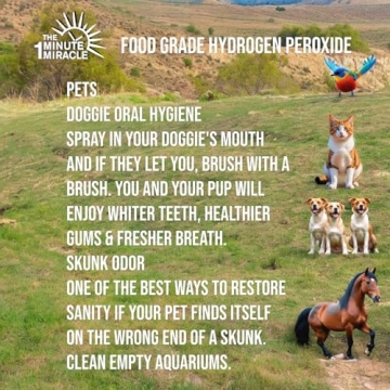 3% Hydrogen Peroxide Food Grade - Purity and Versatility