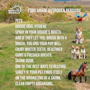 3% Hydrogen Peroxide Food Grade - Purity and Versatility