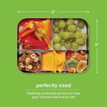 Eco-Friendly LunchBots Medium Trio II Snack Container