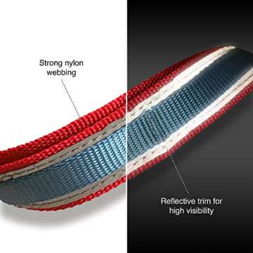 Versatile Kurgo 6-in-1 Dog Leash for Hands-Free Fun