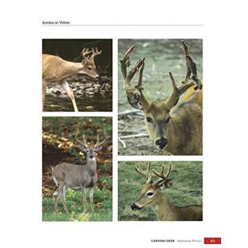 Carving Deer: Patterns and Reference for Realistic Woodcarving (Fox Chapel Publishing) Guide to Eyes, Noses, Ears, Feet, Texture, Color, Tools, and More, with a Step-by-Step Buck Practice Project