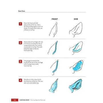 Carving Deer: Patterns and Reference for Realistic Woodcarving (Fox Chapel Publishing) Guide to Eyes, Noses, Ears, Feet, Texture, Color, Tools, and More, with a Step-by-Step Buck Practice Project