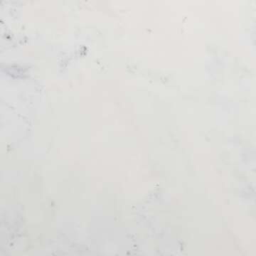 Zuo Savona Coffee Table - Elegant White & Natural Design