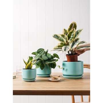 LE TAUCI Ceramic Plant Pots, 4.3+5.3+6.8 inch, Set of 3, Planters with Drainage Hole and Saucer, Indoor Flower Pot with Hole Mesh Pad, Gifts for Mom, Aqua
