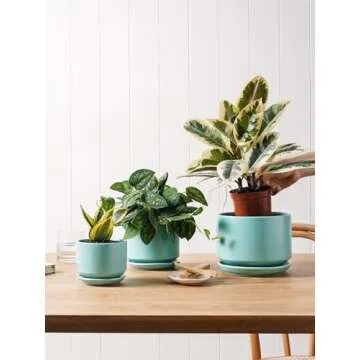 LE TAUCI Ceramic Plant Pots, 4.3+5.3+6.8 inch, Set of 3, Planters with Drainage Hole and Saucer, Indoor Flower Pot with Hole Mesh Pad, Gifts for Mom, Aqua