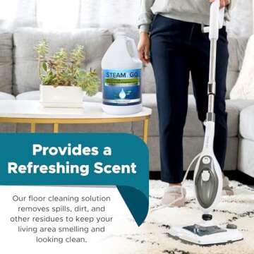 Steam and Go Demineralized Water Cleaner - Safe & Effective