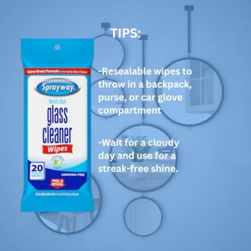 Buy Sprayway SW199R Ammonia-Free Glass Cleaner Wipes