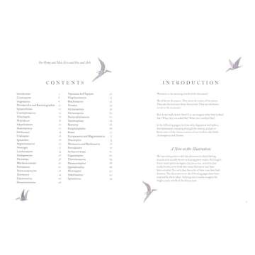 Colorful World of Dinosaurs